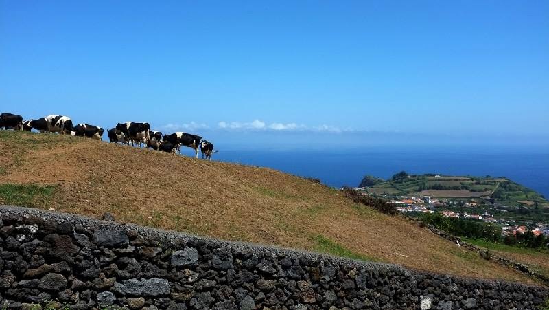 acores